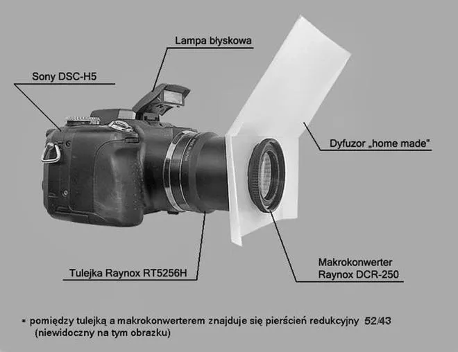 Makrofotografia krok po kroku: jak uzyskać ostre zdjęcia i opanować światło?
