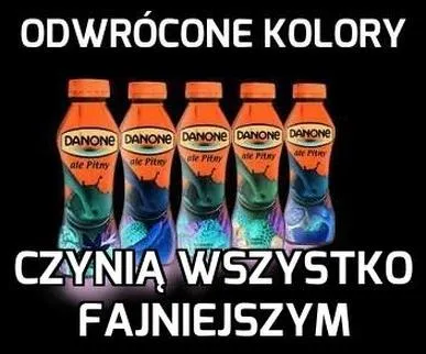 Odwrócone kolory w fotografii – jak efektywnie edytować zdjęcia i negatywy?