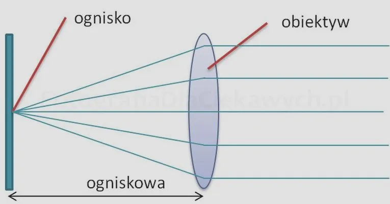 Ogniskowa w aparacie – jak dobrać ją do zdjęcia i uniknąć błędów
