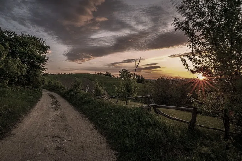 Sekrety kompozycji w fotografii: jak tworzyć kadry, które zachwycają?