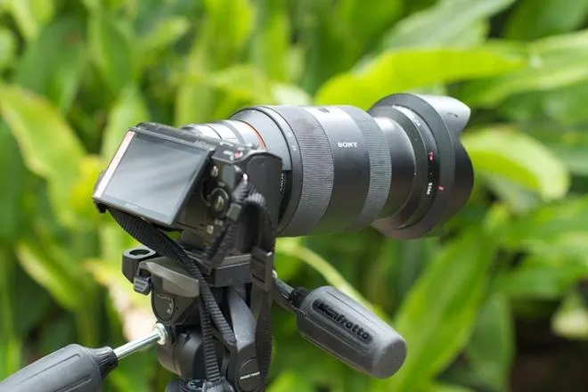 Sony NEX-5 czy lustrzanka — co wybrać na początek w 2026?
