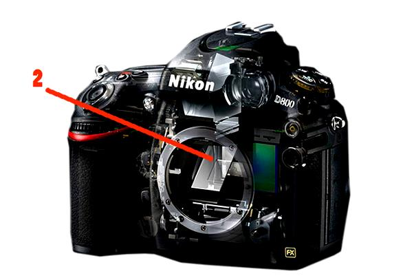 Canon lustrzanka do nauki