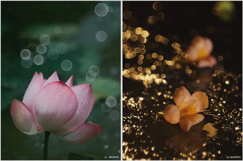 Efekt bokeh online