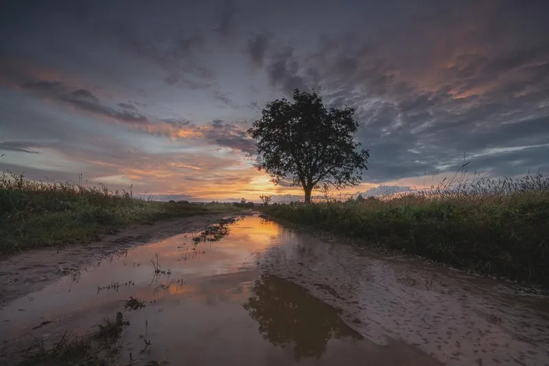 Fotografia dla początkujących