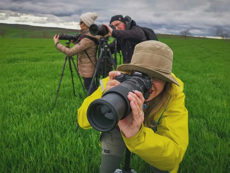 Kursy fotograficzne online