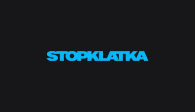 Ostra klatka w wysokiej jakości