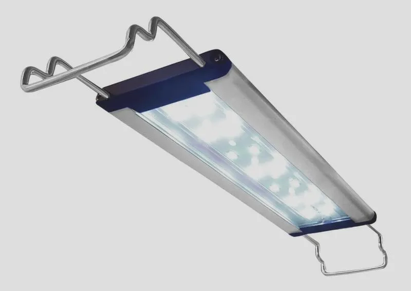 Oświetlenie LED w akwarium