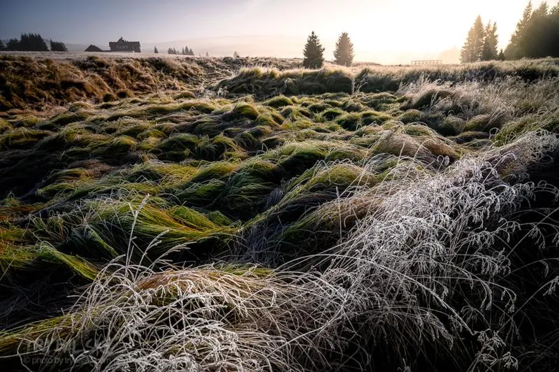 Umiejętności w fotografii