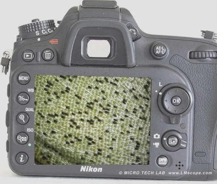 Zakup obiektywu do D7100